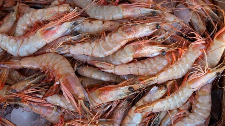 ¿Se puede comer el marisco con manchas negras? Qué tener en cuenta si tomas gambas o langostinos