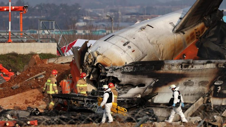 Por qué es poco probable que un choque con un pájaro sea la única causa del fatal accidente aéreo en Corea del Sur