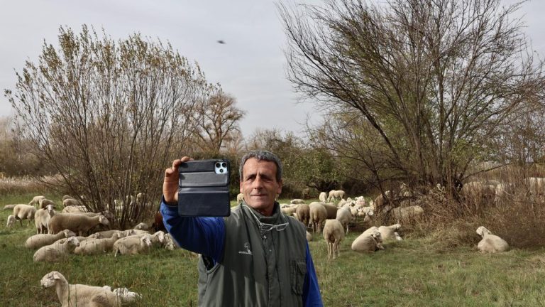 La pareja de ganaderos que lleva el rebaño a las redes: «Uno desconecta de la producción por lo fácil que es alimentarse hoy en día»