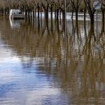 Ávila declara el Estado de Emergencia ante las inundaciones y la previsión de más lluvia