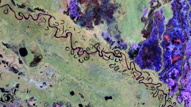Una ‘radiografía’ de los bosques desde el espacio: el satélite Biomass envía sus primeras imágenes