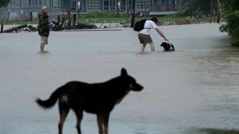 Al menos 13 muertos por las inundaciones tras fuertes lluvias en Texas