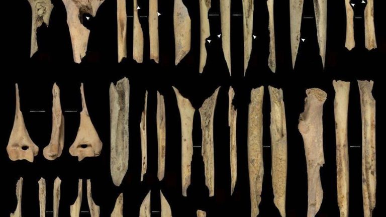 Despellejados, descarnados, cocinados y comidos: los restos de un nuevo caso de canibalismo durante el Neolítico en Atapuerca